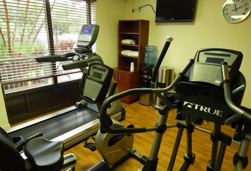 Hotell Comfort Suites Tampa  Brandon