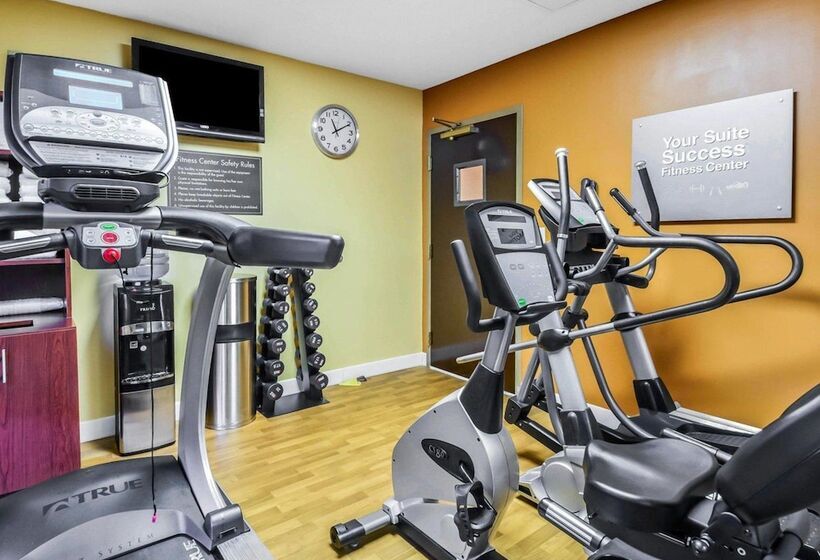 فندق Comfort Suites Tampa  Brandon