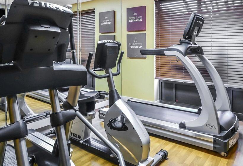 Hotell Comfort Suites Tampa  Brandon