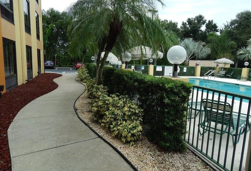 Hotell Comfort Suites Tampa  Brandon