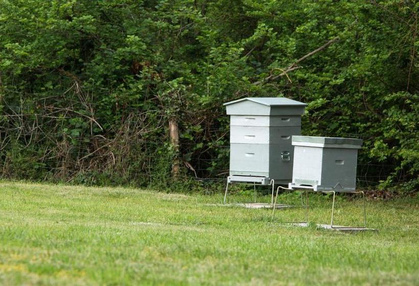 ホテル Hôtel De France