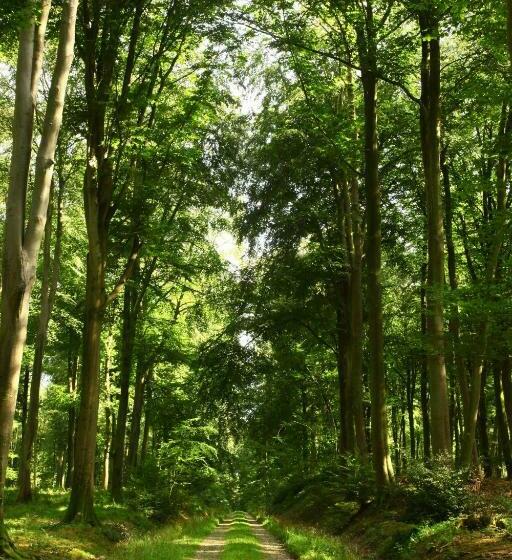 בית מלון כפרי De L'abbaye De Longpont