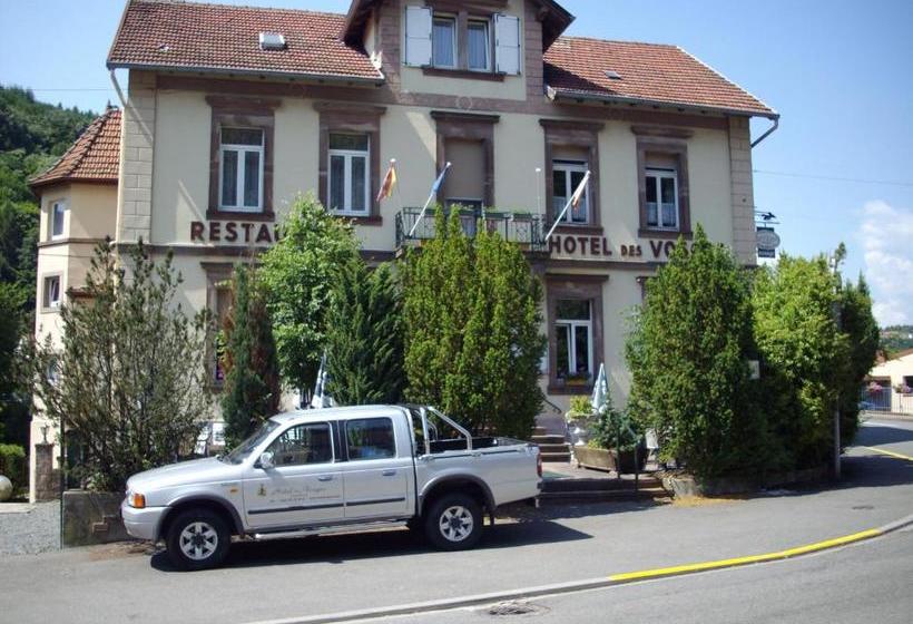 فندق Hôtel Des Vosges