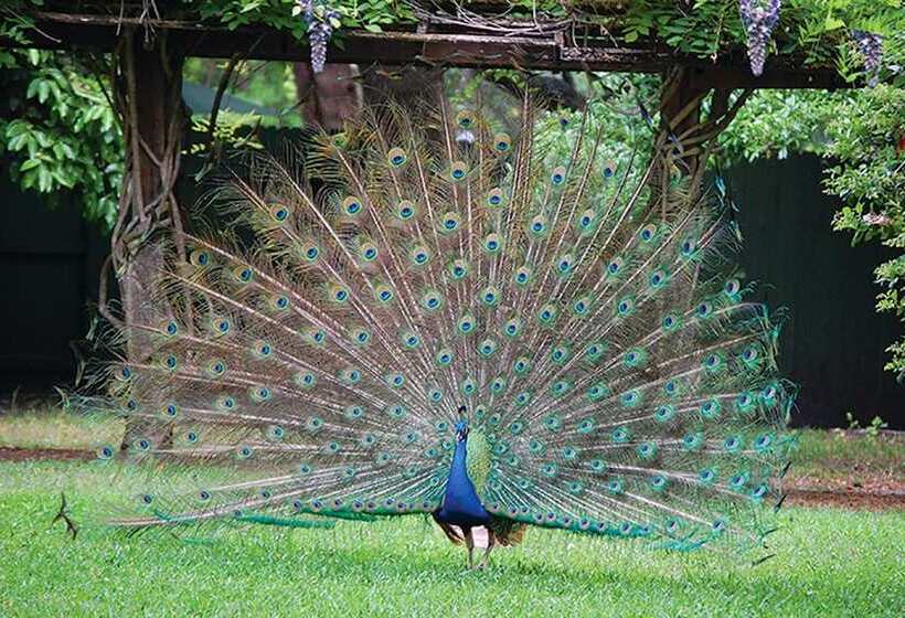 فندق Holiday Inn   St Augustine   World Golf, An Ihg