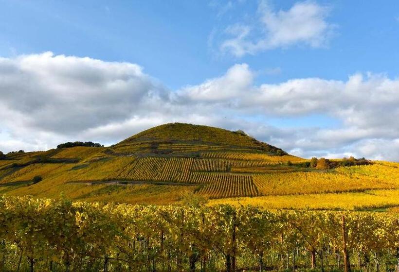 Отель Hôtel De L'ange