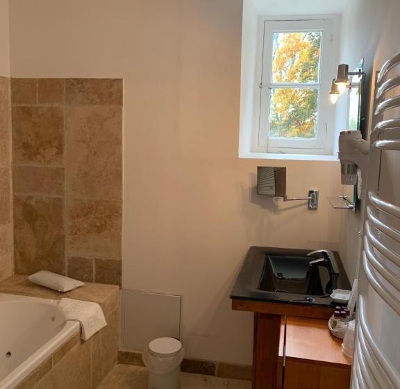 Отель Hôtellerie Nouvelle De Villemartin