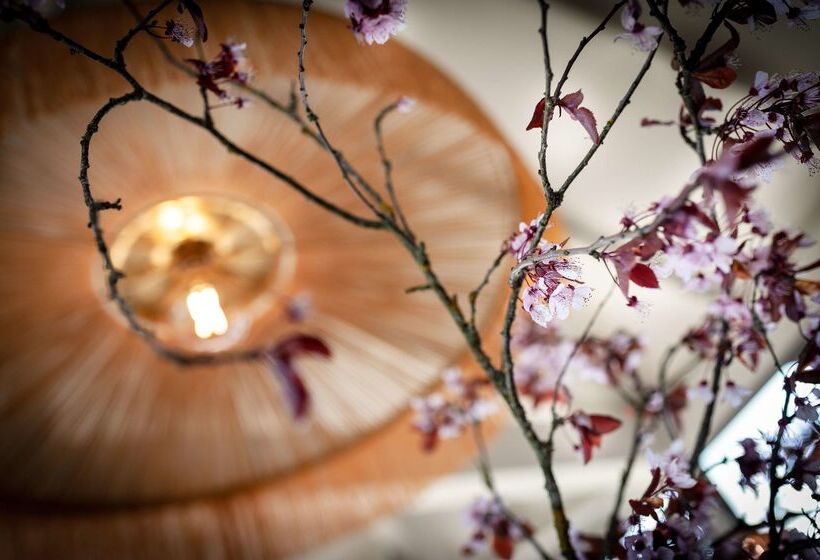 Отель Kyriad Nuits Saint Georges