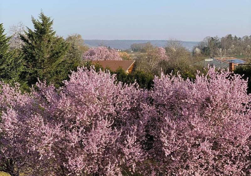 Отель Kyriad Nuits Saint Georges