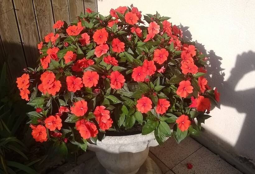 בית מלון כפרי Le Gil De France