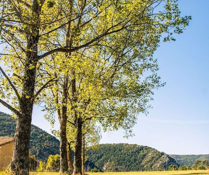 בית מלון כפרי Hôtel Le Panoramic   Votre Hôtel Au Cœur Des Gorges Du Verdon