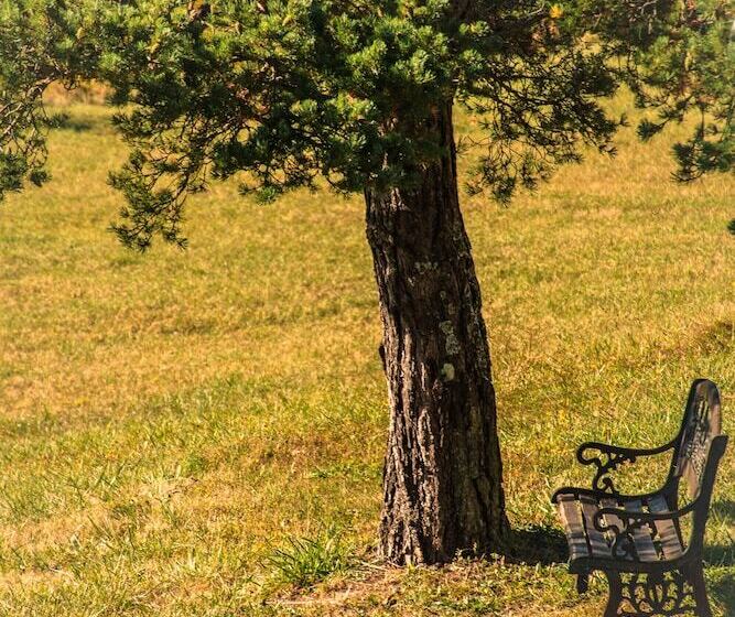 בית מלון כפרי Hôtel Le Panoramic   Votre Hôtel Au Cœur Des Gorges Du Verdon