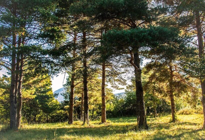 בית מלון כפרי Hôtel Le Panoramic   Votre Hôtel Au Cœur Des Gorges Du Verdon
