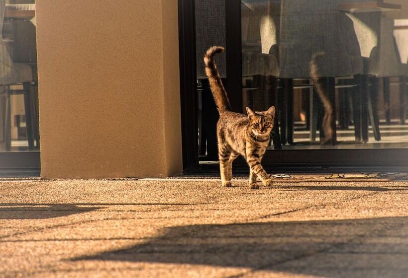 בית מלון כפרי Hôtel Le Panoramic   Votre Hôtel Au Cœur Des Gorges Du Verdon