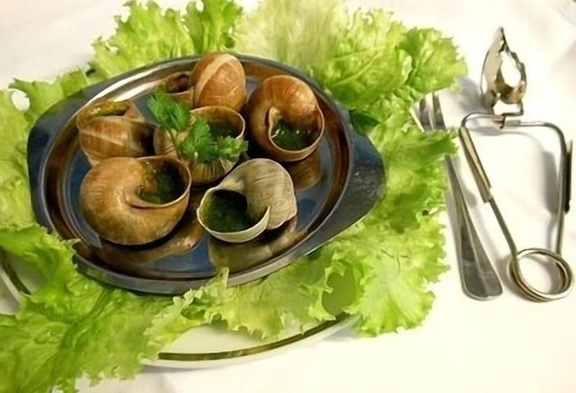 בית מלון כפרי Logis Hôtel Restaurant L Ecu De France