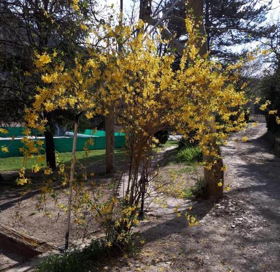 Hotel Logis Le Ceans