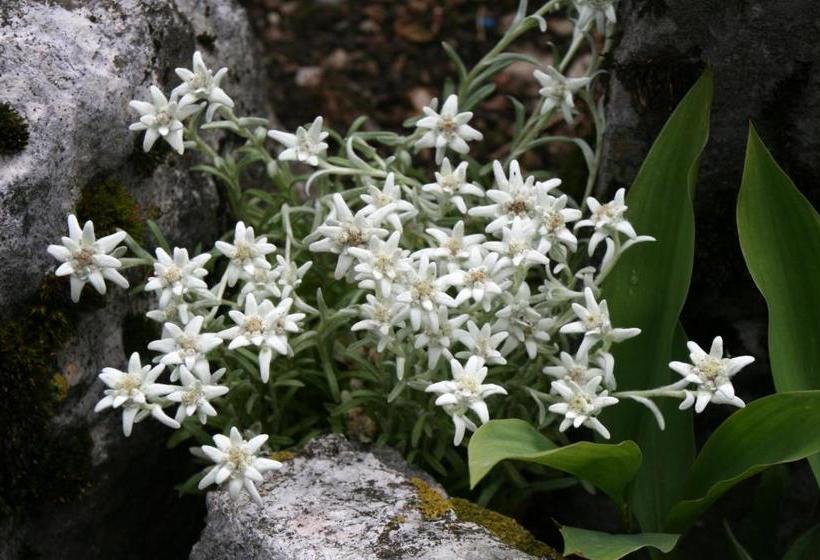 בית מלון כפרי De L'union