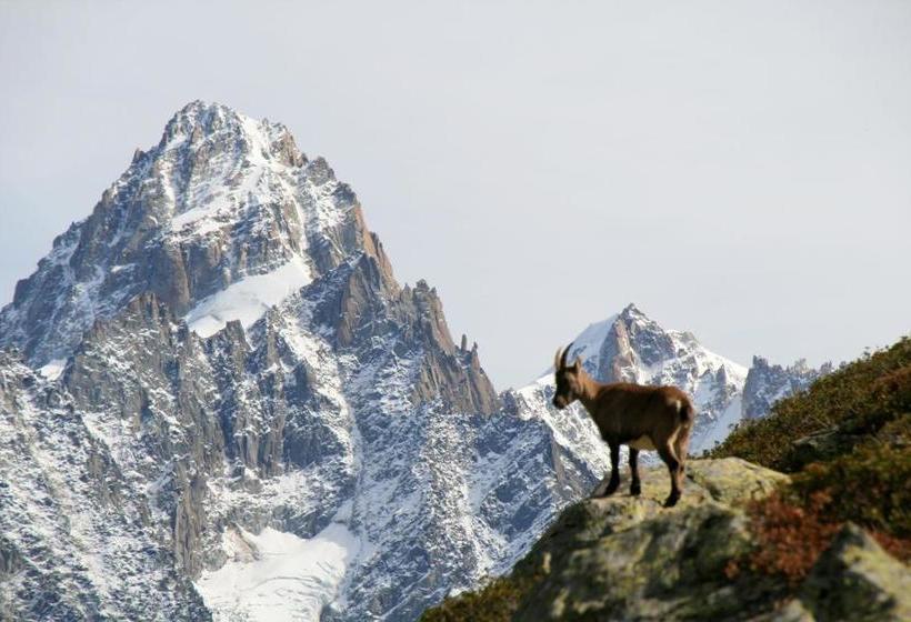 בית מלון כפרי De L'union
