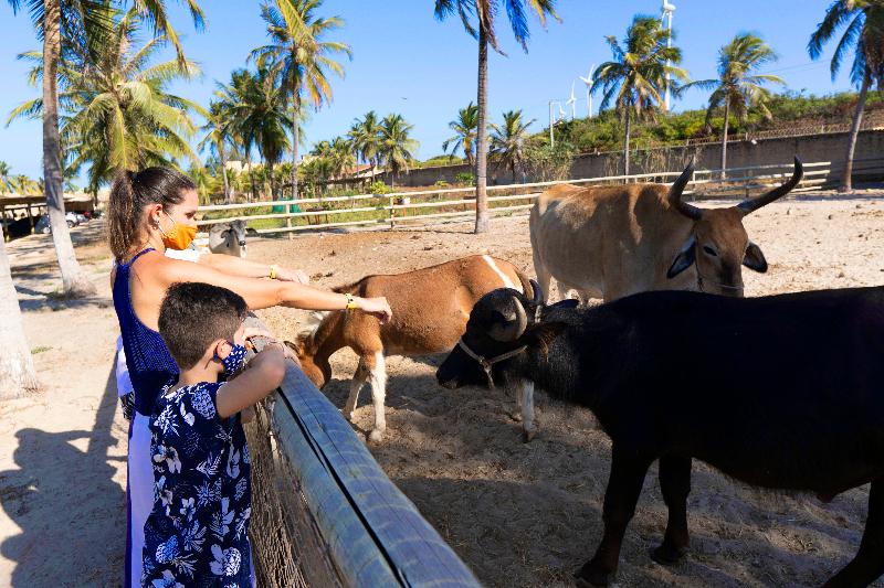 ホテル Parque Das Fontes