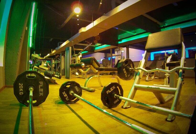 Отель Santa Rosa