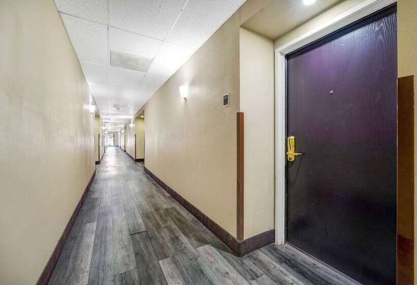 فندق Sleep Inn Leesburg Chain Of Lakes