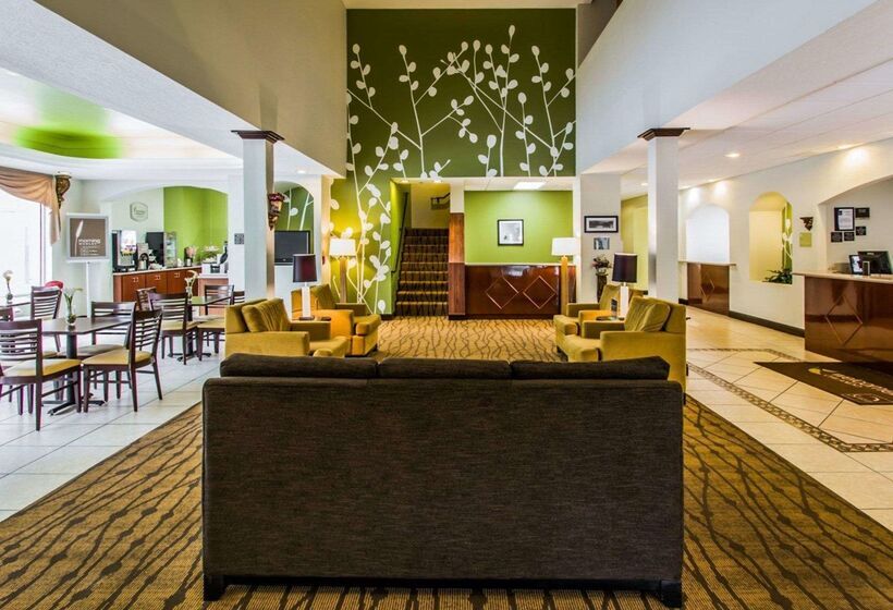 호텔 Sleep Inn & Suites Orlando International Airport