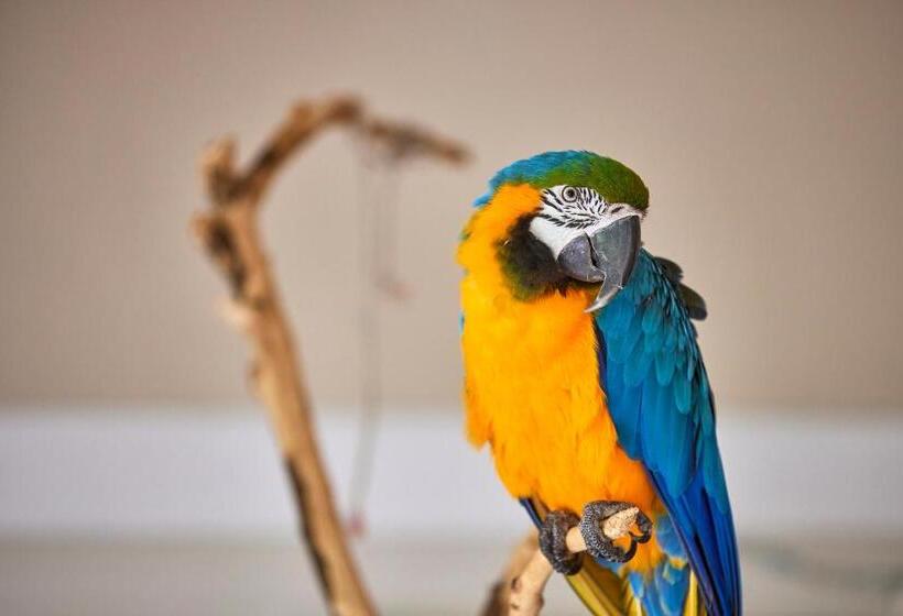 호텔 Son Sant Jordi Boutique House