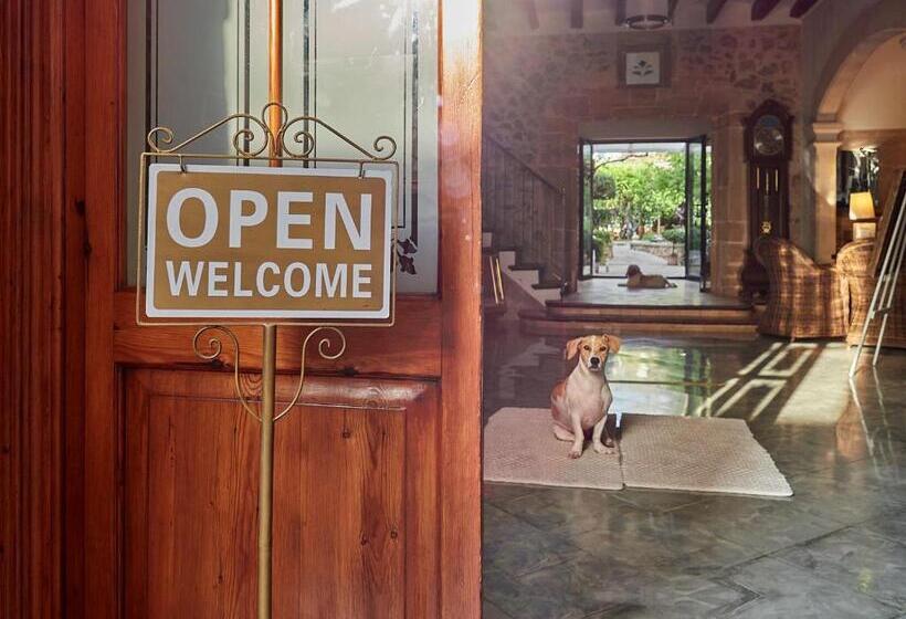 호텔 Son Sant Jordi Boutique House