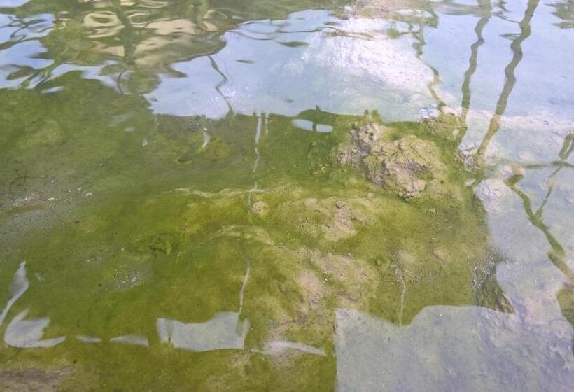 فندق Terme Belvedere