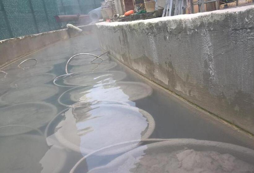 فندق Terme Belvedere