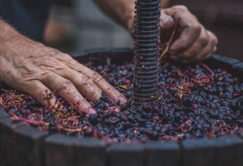 ホテル The Originals City, Hôtel Le Puech, Narbonne