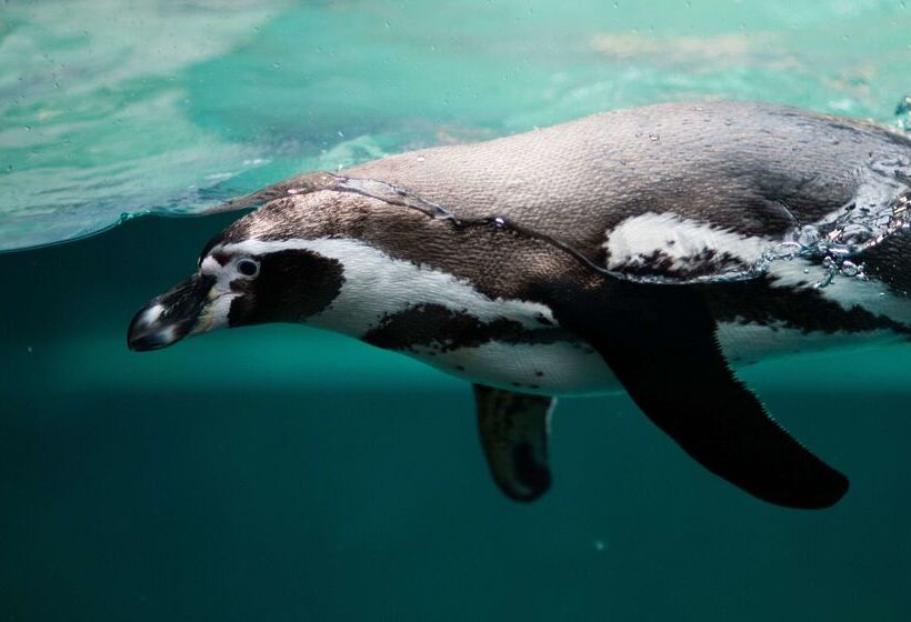 호텔 The Originals Boutique, Hôtel Le Pillebois, Bourgenbresse Nord