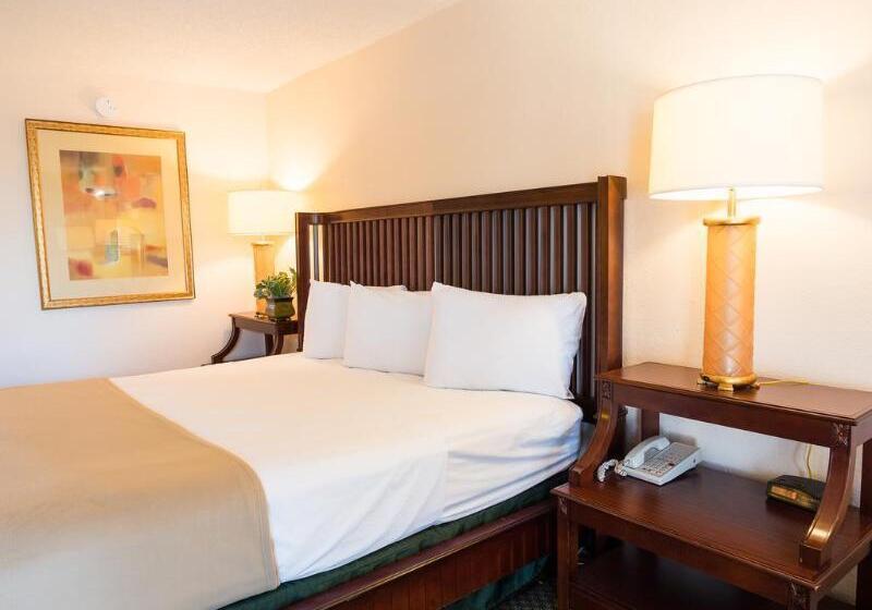 فندق Vista Inn And Suites Tampa