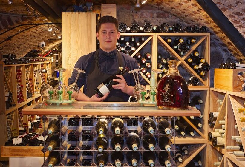 Logis Hôtel Centrotel Et Spa Bulles D Allier