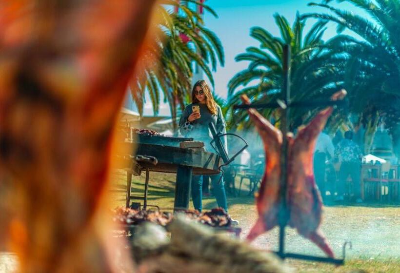 Marina Del Faro Resort