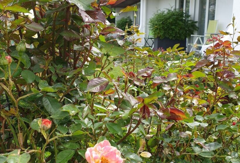 מוטל Les Jardins Du Forez