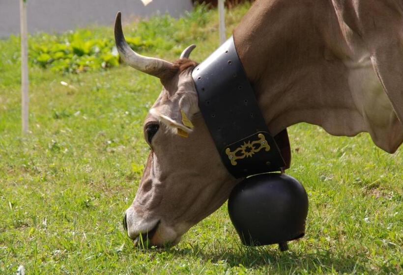 Alpenhotel Zur Wildi Lauchernalp