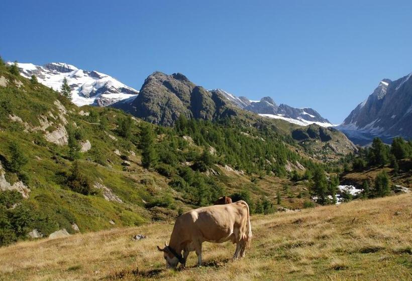 Alpenhotel Zur Wildi Lauchernalp