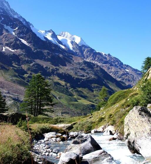 Alpenhotel Zur Wildi Lauchernalp