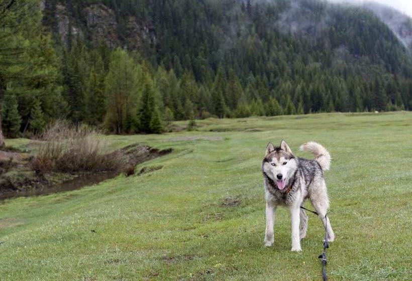 هتل Campsite Altair