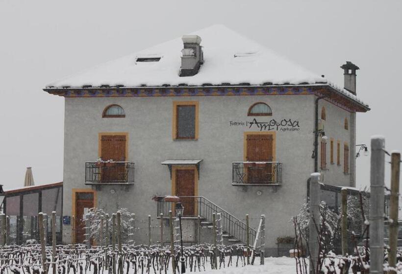 酒店 Fattoria L'amorosa