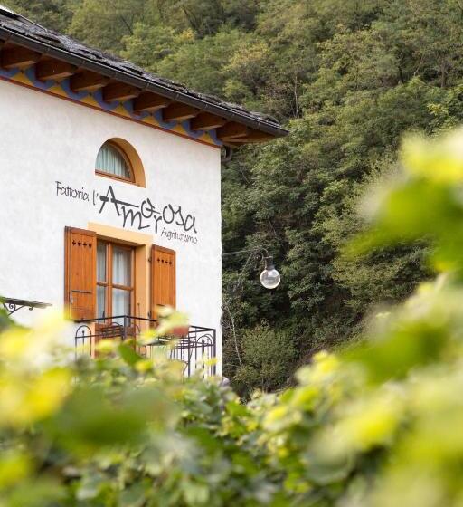 酒店 Fattoria L'amorosa