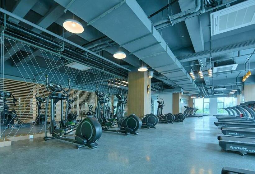 酒店 Holiday Inn Express Luoyang Yichuan, An Ihg