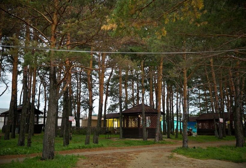 Отель Maxim Park