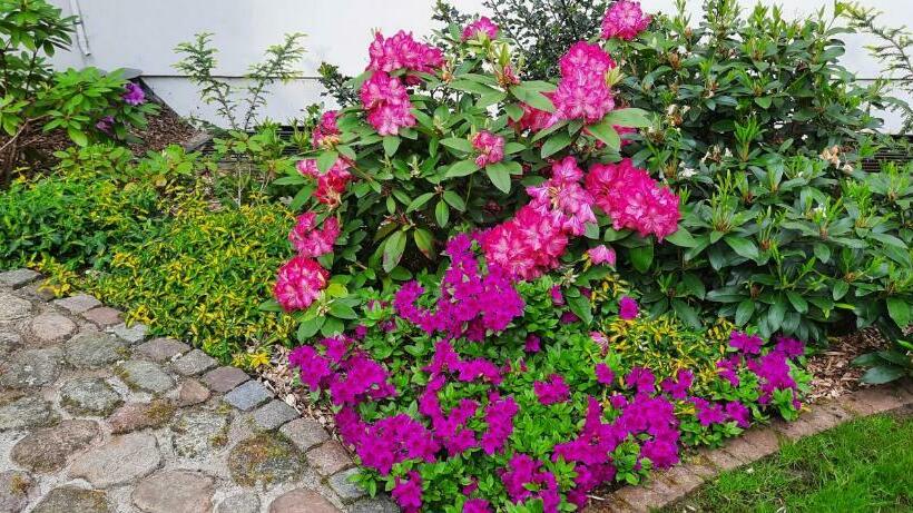 酒店 Pensjonat Dworek Polski