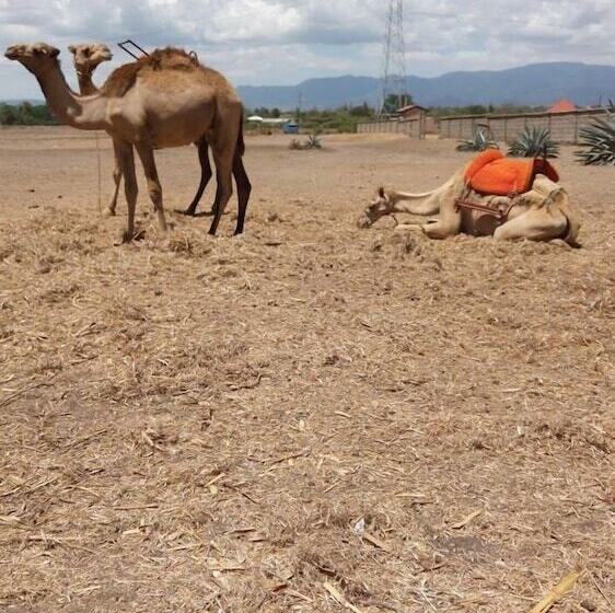 בית מלון כפרי Snake Park Campsite