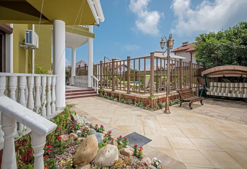 Mini Hotel Biography