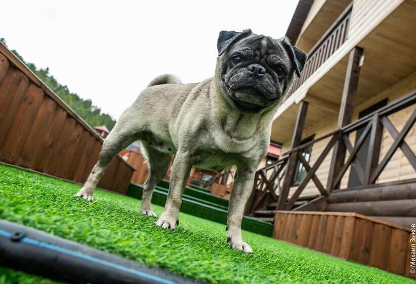 Park Hotel Baikal Dar