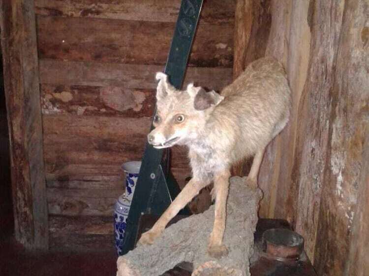 پانسیون Auberge La Forestiere