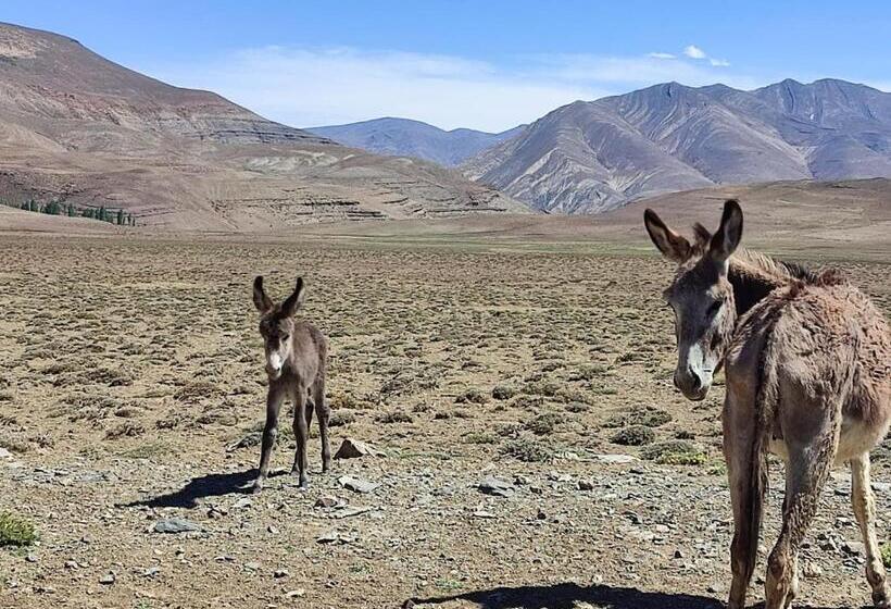 بنسيون Auberge Restaurant Afoud