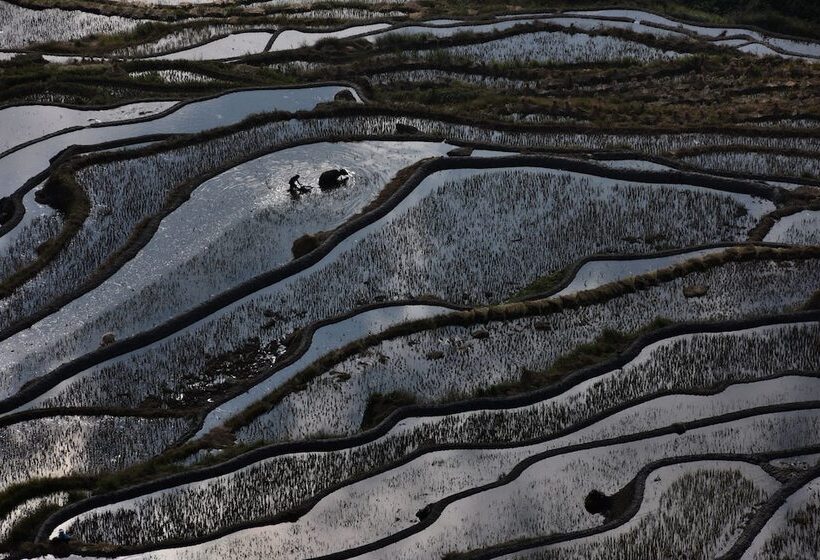 بنسيون Beyond The Cloud